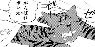 ��Ǫ�ޤ����� 26