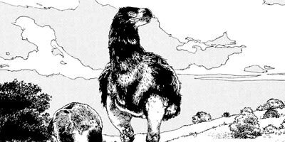 ���������������� 1