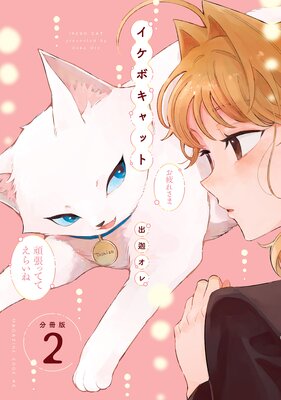 �����ܥ���å� ʬ���� 2��