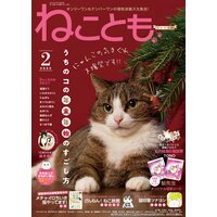 ねこともvol.77
