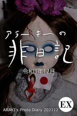 ex���顼������������ ����3ǯ12�� ARAKI��s Photo Diary 202112��ɽ��