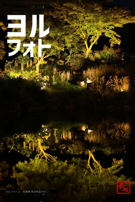 ���ե���9 ���̿��� ��ë�������椯����ɽ��