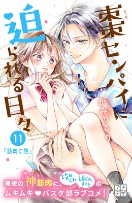 ܧ����ѥ������������� �ץ��ǥ� 11��