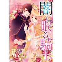 闇に眠る騎士