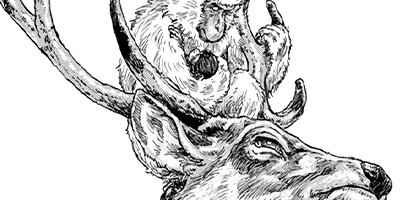 ��С�����ɡ����ե� 31