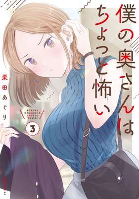 僕の奥さんはちょっと怖い 3巻
