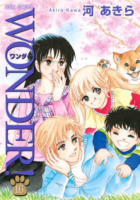 ������ 16