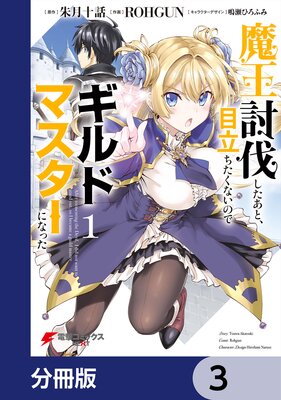 魔王討伐したあと、目立ちたくないのでギルドマスターになった【分冊版】 3