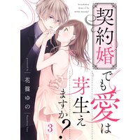 契約婚でも愛は芽生えますか?(3)