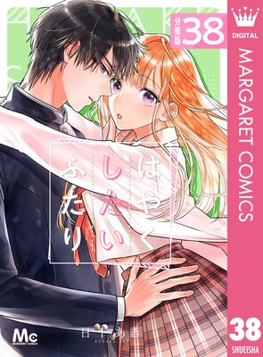 �Ϥ䤯�������դ��� ʬ���� 38