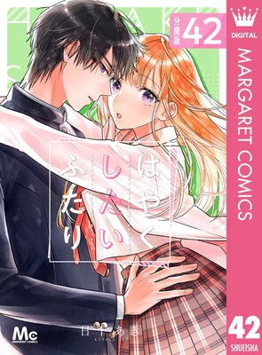 �Ϥ䤯�������դ��� ʬ���� 42