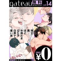 gateau selection vol.14【無料お試し読み版】
