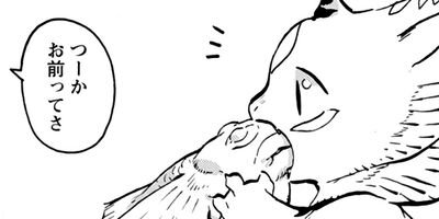 �˥��������Ⱥ�ƣ 10