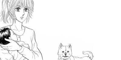 ������ 29