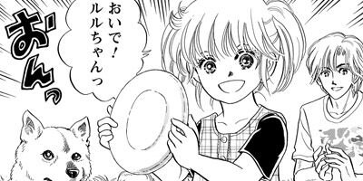 ������ 44