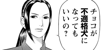 �ʥ��������ȥ졼�� 7