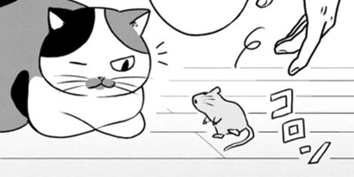 ネコ先輩さすがです! 24