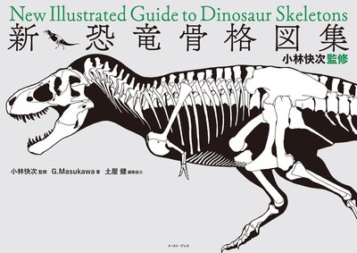 ���Ӳ����ƽ� ������ε���ʿ޽���ɽ��