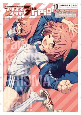 Fate／kaleid liner プリズマ☆イリヤ ドライ！！（13） 特装版