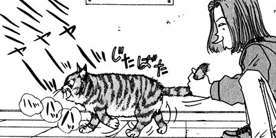 中村橋動物病院の犬 4