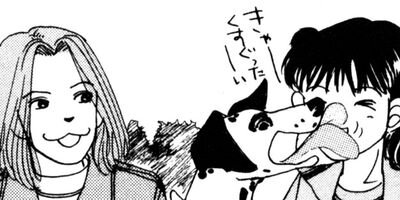 ��¼��ưʪ�±��θ� 56