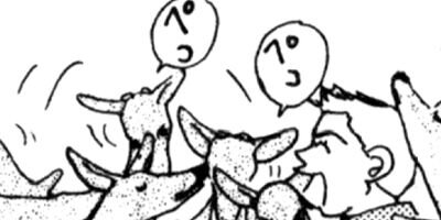 ��¼��ưʪ�±��θ� 60