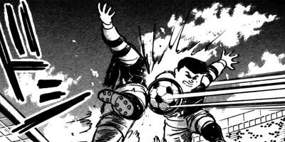 ������ 41