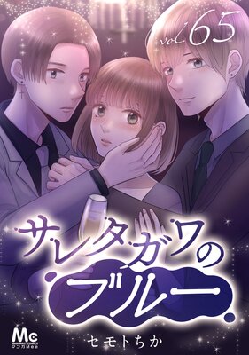 ���쥿����Υ֥롼 ʬ���� 65