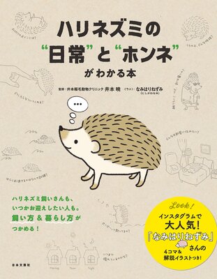 �ϥ�ͥ��ߤΡ�����ɤȡȥۥ�͡ɤ��狼���ܤ�ɽ��