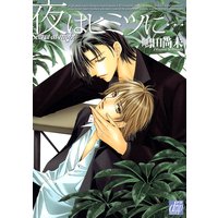 夜はヒミツに…