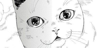 ���������󥰡�����å� 27