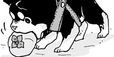 ���������� 5