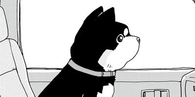 ���������� 11