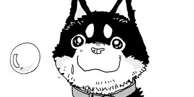 ���������� 12