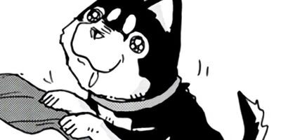 ���������� 13