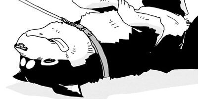 ���������� 14