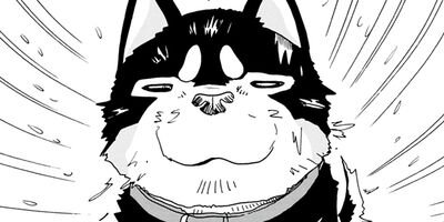 ���������� 15