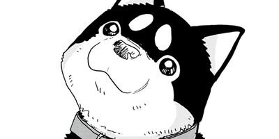 ���������� 16