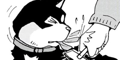 ���������� 17