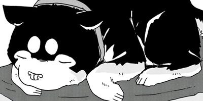 ���������� 19