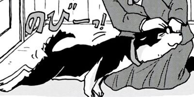 ���������� 20