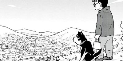 ���������� 24