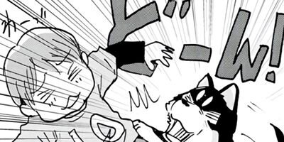 ���������� 25