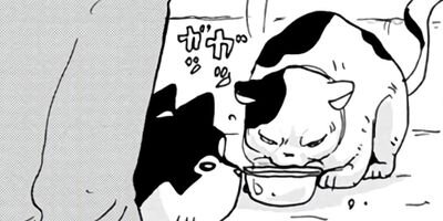 ���������� 26