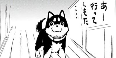 ���������� 27