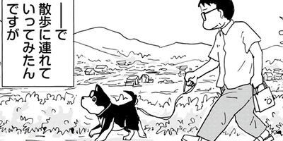 ���������� 33