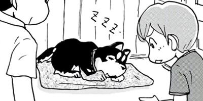 ���������� 35