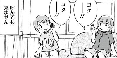 ���������� 36