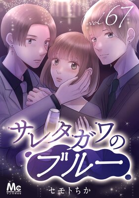 ���쥿����Υ֥롼 ʬ���� 67