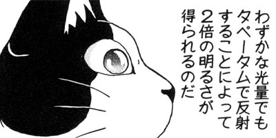 �Ϥ��Ϥ� 121